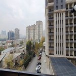 Kirayə (aylıq) 3 otaqlı Yeni Tikili, Nizami metrosu, Nəsimi rayonu 10
