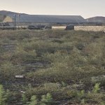 Satılır Torpaq, Masazır, Abşeron rayonu 5