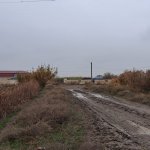 Satılır Torpaq Sabirabad 10