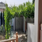 Kirayə (günlük) 3 otaqlı Bağ evi, Mərdəkan, Xəzər rayonu 18
