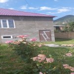 Kirayə (günlük) 3 otaqlı Həyət evi/villa Qax 1