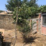 Satılır 7 otaqlı Həyət evi/villa, Masazır, Abşeron rayonu 28