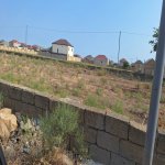 Продажа Участок, Новханы, Абшерон район 3