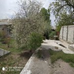 Kirayə (aylıq) 3 otaqlı Həyət evi/villa Naxçıvan MR 10