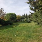 Аренда 4 комнат Дома/Виллы, м. Хетаи метро, Хетаи район 15