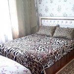 Kirayə (günlük) 3 otaqlı Həyət evi/villa İsmayıllı 2