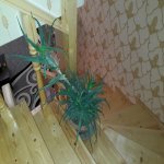 Satılır 3 otaqlı Həyət evi/villa, Binəqədi qəs., Binəqədi rayonu 2
