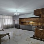 Kirayə (aylıq) 2 otaqlı Yeni Tikili, Gənclik metrosu, Nəsimi rayonu 9