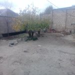 Satılır Torpaq, Binəqədi rayonu 2