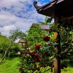 Kirayə (günlük) 3 otaqlı Həyət evi/villa Zaqatala 10