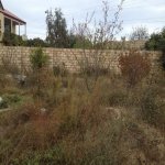 Satılır Torpaq, Saray, Abşeron rayonu 1
