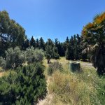 Satılır Torpaq, Şüvəlan, Xəzər rayonu 11
