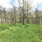 Satılır 8 otaqlı Həyət evi/villa Göygöl 4