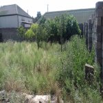 Satılır Torpaq, Koroğlu metrosu, Yeni Ramana, Sabunçu rayonu 7