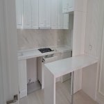 Kirayə (aylıq) 2 otaqlı Yeni Tikili, Gənclik metrosu, Nəsimi rayonu 13