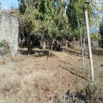 Satılır Torpaq Oğuz 5