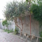 Аренда 4 комнатная Дома/Виллы, Масазыр, Абшерон район 3