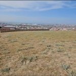 Продажа Участок, Хокмяли, Абшерон район 5