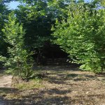 Satılır 6 otaqlı Həyət evi/villa Tovuz 3