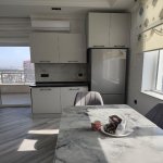Kirayə (aylıq) 3 otaqlı Yeni Tikili, Gənclik metrosu, Gənclik Mall, Nərimanov rayonu 10