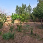 Satılır Torpaq, Ceyranbatan qəs., Abşeron rayonu 4