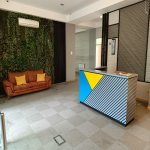 Kirayə (aylıq) 12 otaqlı Ofis, Yasamal qəs., Yasamal rayonu 16