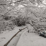 Посуточно 3 комнатная Дома/Виллы Гусар 13