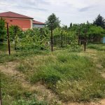 Kirayə (aylıq) 1 otaqlı Həyət evi/villa, Xalqlar dostluğu metrosu, kənd Əhmədli, Xətai rayonu 4