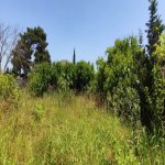 Satılır Torpaq, Goradil, Abşeron rayonu 8