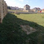 Satılır Torpaq, Saray, Abşeron rayonu 9