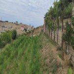 Продажа Участок, Новханы, Абшерон район 16