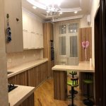 Kirayə (aylıq) 3 otaqlı Yeni Tikili, Nəsimi rayonu 9