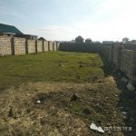 Satılır Torpaq, Məhəmmədli, Abşeron rayonu 5
