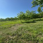 Продажа Участок Исмаиллы 5