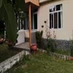 Kirayə (günlük) 3 otaqlı Həyət evi/villa Qəbələ 14