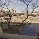 Kirayə (aylıq) 2 otaqlı Köhnə Tikili, Nəriman Nərimanov metrosu, Nərimanov rayonu 16