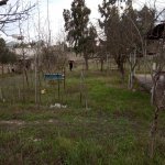 Satılır Torpaq, Şüvəlan, Xəzər rayonu 5