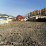 Satılır Torpaq Qəbələ 3