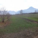 Satılır Torpaq Zaqatala 3