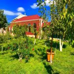 Kirayə (aylıq) 4 otaqlı Bağ evi, Saray, Abşeron rayonu 14