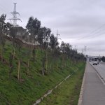Satılır 6 otaqlı Həyət evi/villa, Hökməli, Abşeron rayonu 2