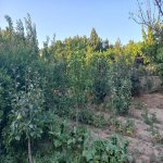 Satılır 3 otaqlı Bağ evi, Digah, Abşeron rayonu 1