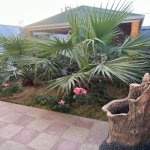 Kirayə (aylıq) 4 otaqlı Bağ evi, Mərdəkan, Xəzər rayonu 18