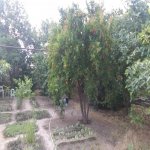 Satılır 3 otaqlı Həyət evi/villa Xırdalan 4