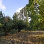 Продажа Участок Гябяля 6