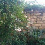 Satılır 5 otaqlı Həyət evi/villa, Masazır, Abşeron rayonu 4