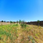 Satılır Torpaq, Goradil, Abşeron rayonu 7