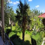 Kirayə (aylıq) 5 otaqlı Bağ evi, Novxanı, Abşeron rayonu 12