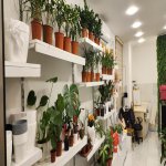Продажа Объект Хырдалан 8