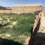 Satılır Torpaq, Avtovağzal metrosu, Novxanı, Abşeron rayonu 7